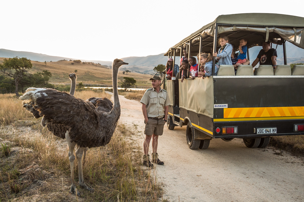 Accommodation at Badplaas, A Forever Resort